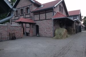 oplus_0 oplus_0